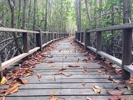 Obraz na płótnie most drzewa ścieżka las