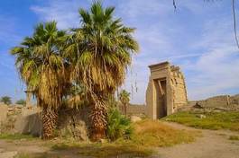 Fototapeta afryka świątynia pustynia egipt
