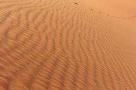 Obraz na płótnie pejzaż wydma egipt