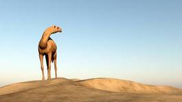 Plakat pustynia niebo 3d afryka wydma
