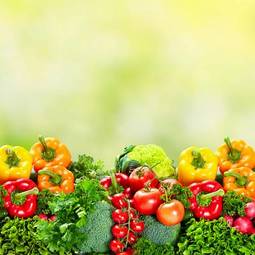 Obraz na płótnie witamina pomidor warzywo zdrowy