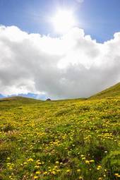 Obraz na płótnie góra lato alpy