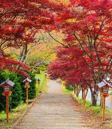 Fototapeta jesień natura świątynia piękny