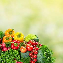 Fotoroleta świeży warzywo żniwa ogród zdrowy
