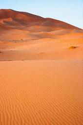 Naklejka natura spokojny pustynia bezdroża