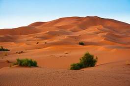 Naklejka natura spokojny pustynia
