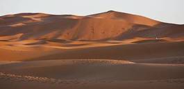 Naklejka afryka wydma krajobraz dziki pustynia