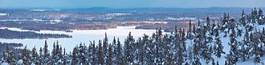 Naklejka dziki finlandia góra śnieg europa