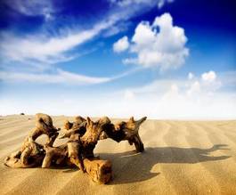Fotoroleta wydma afryka słońce wzgórze