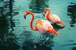 Obraz na płótnie natura egzotyczny flamingo krajobraz ptak
