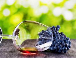 Naklejka wiejski napój winorośl owoc