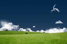 Obraz na płótnie trawa niebo krajobraz łąka pole