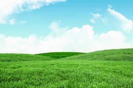 Fotoroleta krajobraz pole trawa łąka wieś