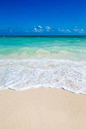 Obraz na płótnie plaża raj brzeg słońce pejzaż