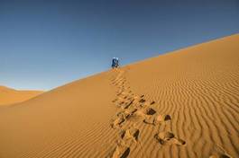 Fotoroleta pustynia dromader wielbłąd