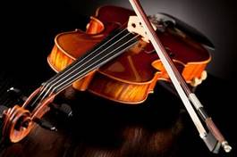 Naklejka skrzypce muzyka viola