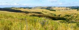 Obraz na płótnie rolnictwo wiejski łąka toskania niebo