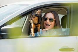 Plakat kobieta z psem w samochodzie