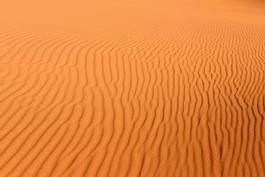 Plakat wzór lato pustynia wydma