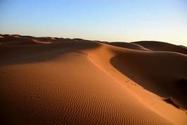 Plakat widok południe wydma piękny pustynia