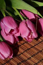 Plakat kwiat tulipan natura ozdoba