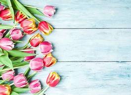 Naklejka retro tulipan kwiat natura
