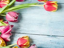 Plakat natura vintage kwiat tulipan