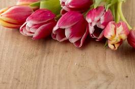 Naklejka bukiet wzór kwiat tulipan roślina