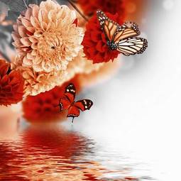 Naklejka natura kwiat motyl chryzantema
