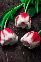 Naklejka tulipan kwitnący roślina retro kobieta