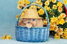 Plakat kociak w niebieskim koszyk i żółte kwiaty