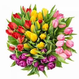 Naklejka piękny tulipan kwiat bukiet