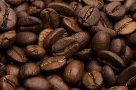 Fototapeta kawiarnia kawa arabica napój