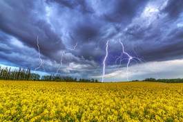 Plakat natura łąka pole niebo sztorm