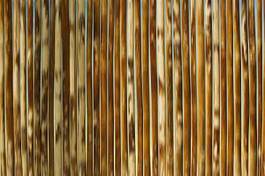 Fotoroleta bambus zen azjatycki orientalne gałązka
