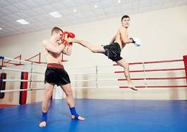 Naklejka sztuki walki sztuka kick-boxing boks