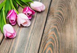 Fotoroleta piękny kwitnący roślina bukiet tulipan