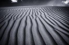Fototapeta park narodowy krajobraz wydma