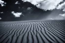 Obraz na płótnie wydma pustynia bezdroża