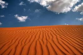 Naklejka natura wzór pustynia pejzaż niebo