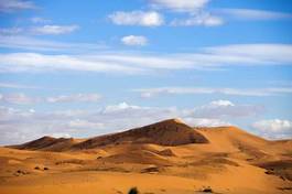Obraz na płótnie pejzaż piękny pustynia oaza