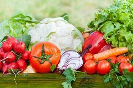 Fotoroleta pieprz pomidor jedzenie ogród warzywo