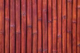 Naklejka natura bambus vintage azjatycki orientalne