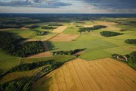 Fotoroleta krajobraz rolnictwo las