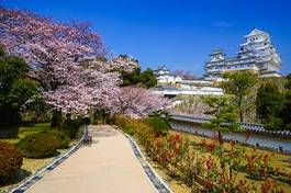 Fotoroleta zamek wiśnia pejzaż architektura japonia