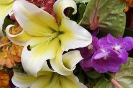 Naklejka tropikalny kwiat tajlandia