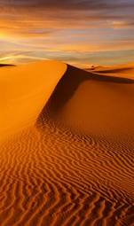 Obraz na płótnie arabian safari wzgórze wydma pustynia