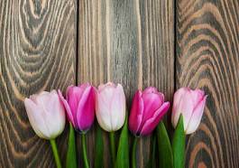 Plakat tulipan kwiat kwitnący natura