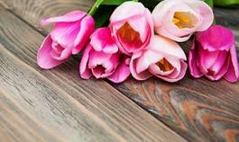 Naklejka bukiet natura tulipan