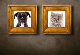 Naklejka portret kota i psa